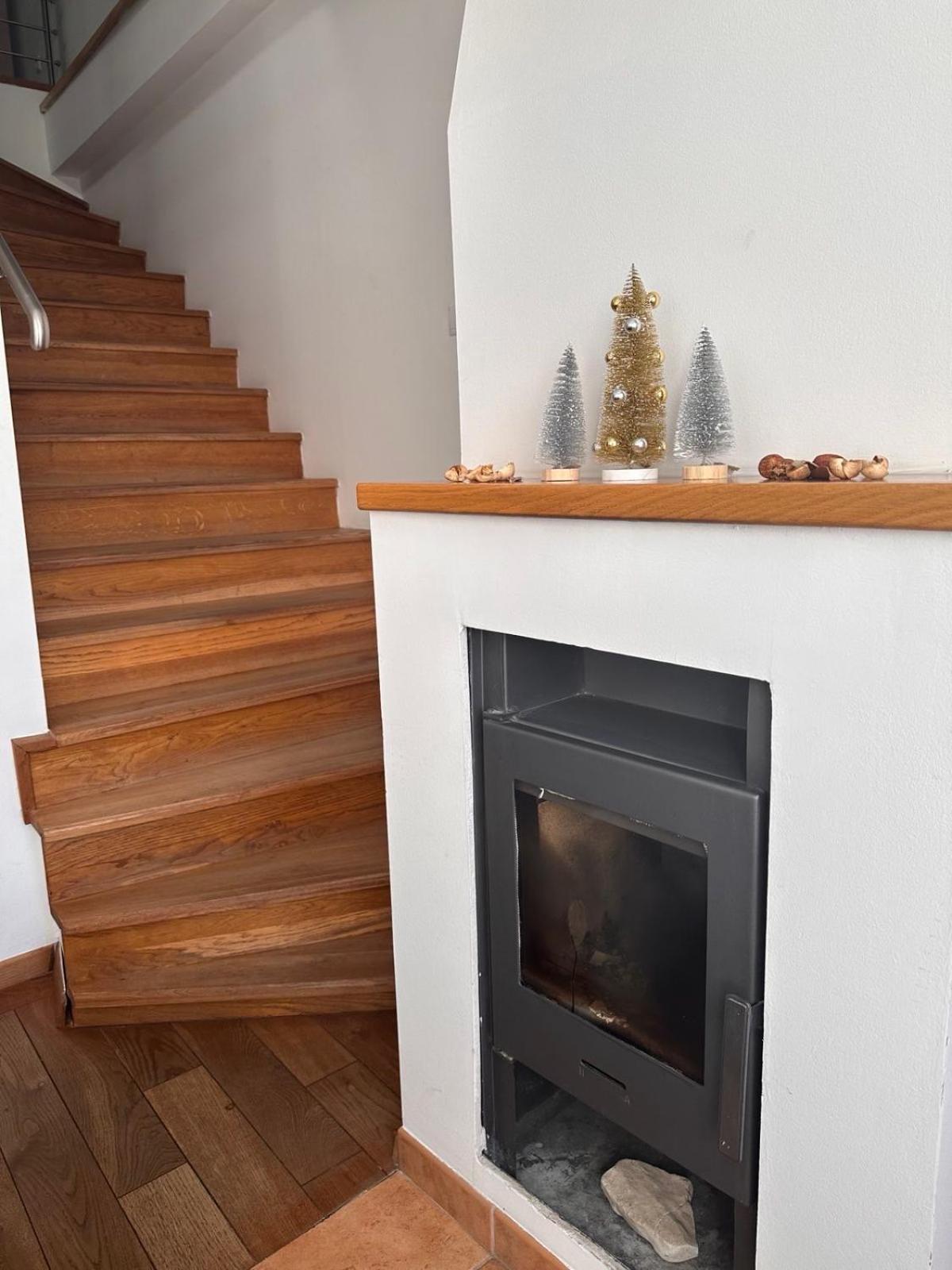 Vila Danin With Free Garage,Stari Grad سراييفو المظهر الخارجي الصورة